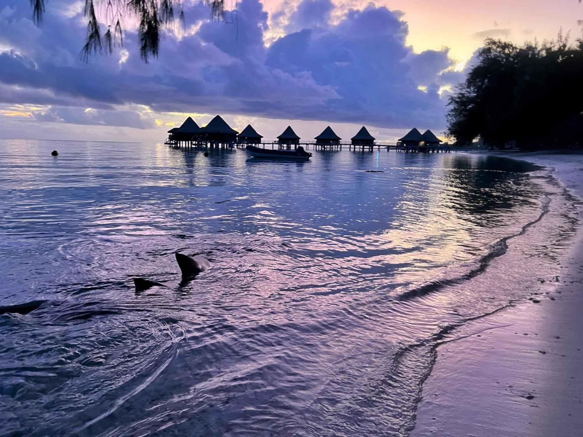Hinamoe Lodge Avatoru Esterno foto